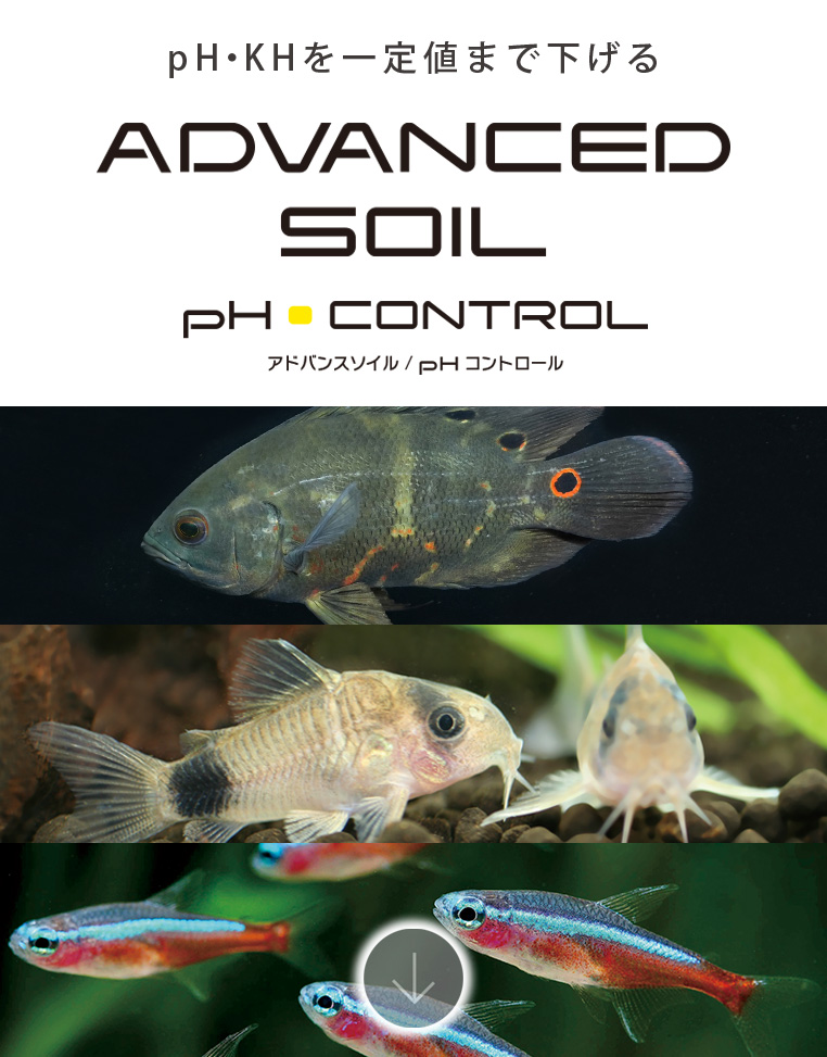 pH コントロール