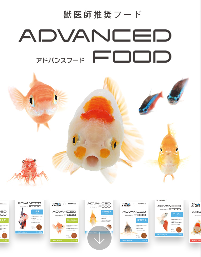 アドバンスフード